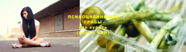 тгк Михайлов