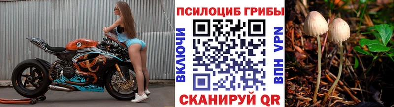 Купить закладки  Великий Новгород  Псилоцибиновые грибы ЛСД 